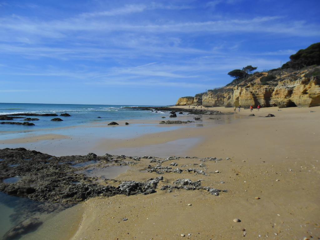 Appartement Albufeira Sea View Extérieur photo